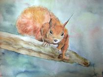 Eichhörnchen by philomena
