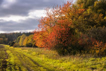 Herbstimpression 1 von Uwe Karmrodt