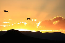 Sonnenuntergang und Vögel über den Drakensbergen in Südafrika von Mellieha Zacharias