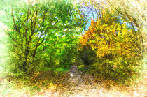 Autumn Forest Path Art by David Pyatt
