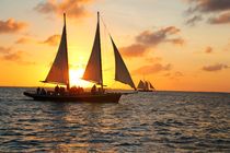 Der Katamaran segel in den Sonnenuntergang by ann-foto