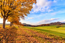 Herbstidylle in der Sächsischen Schweiz von Dirk Hoffmann