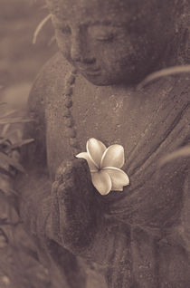 Mönch aus Stein mit Blume von mroppx