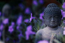 Buddha unter lila Blumen von mroppx