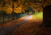 Autumn Leaves von Leighton Collins