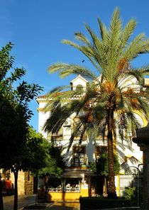 Plaza de la Iglesia in Marbella by gscheffbuch