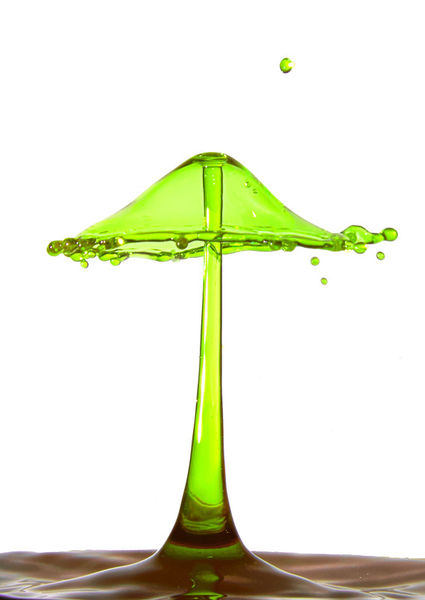 Water-mushroom-green