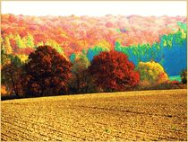 ~ Colorful Season ~ von Sandra  Vollmann