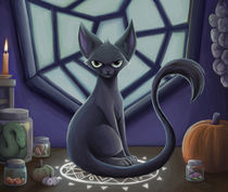 black cat by sushy