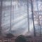 Wald-von-schoenbuech-am-01-dot-11-dot-2015-120