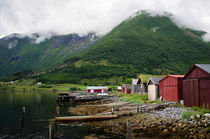Village in Norway by Janis Upitis