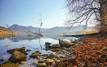 November Lake  by Thomas Matzl