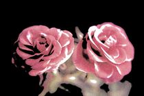 A pair of roses in pencil on dark background von Peter-André Sobota