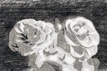 A pair of roses in sketch on dark background von Peter-André Sobota