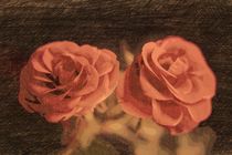 A pair of roses in sketch3 on dark background by Peter-André Sobota