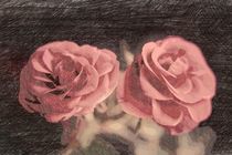 A pair of roses in sketch2 on dark background by Peter-André Sobota