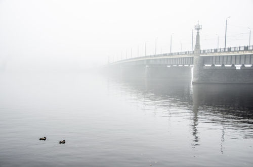 Riga-in-fog