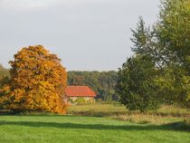 Herbstland von Angelika  Schütgens