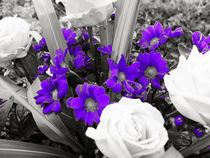 Die violetten Blumen von Eva Dust