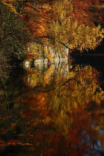 Goldener Herbst V by meleah