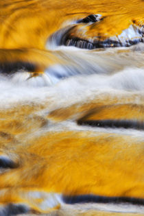 der goldene Fluss by moqui