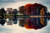 Herbst by Sandro Mischuda