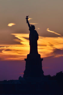 Freiheitsstatue New York / Statue of Liberty von Thomas Schaefer