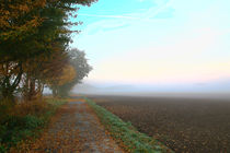 Herbstmorgen mit Nebel von Bernhard Kaiser