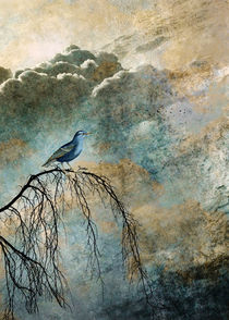 'HEAVENLY BIRD II' von Pia Schneider