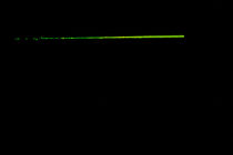 Geschwindigkeit [Serie 'Linien & Kurven - grün] von crazyneopop