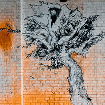 tree on bricks by Ralf Ketterlinus