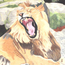 And the King roars by Laurence Collard