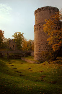 Cesis Medieval Castle von Janis Upitis