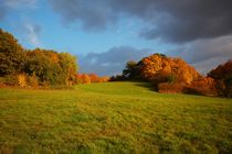 Herbstwiese by Philipp Nickerl