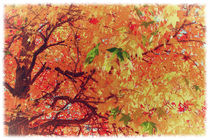 Autumn Leaves by mario-s