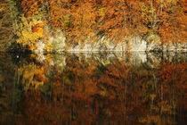 Goldener Herbst X by meleah
