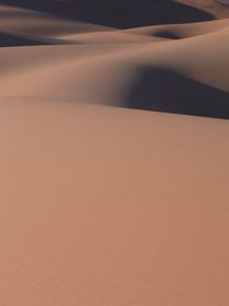 Wogen der Wüste by ysanne