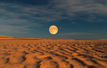 Moon across the Sands by Dave Harnetty