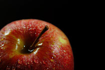 Apfel von Stefan Mosert