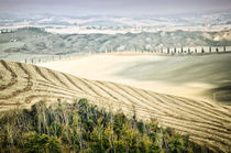 Landschaft Toskana Italien / italian landscape Tuscany by Thomas Schaefer