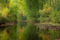 River Teign on Dartmoor by Pete Hemington