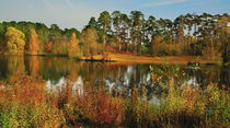 Bright autumn by the lake von Yuri Hope