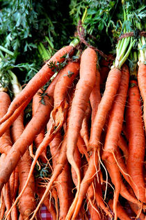 Carrots von Katia Lima