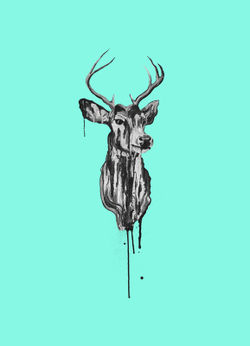 Deer-aqua