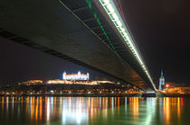 Stadtansicht Bratislava vom Donauufer aus gesehen von Christian Hallweger