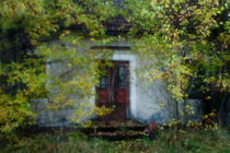 A forgotten house by Tony Töreklint