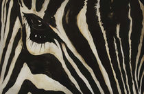 Zebra von Edward Lucas