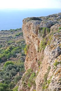 Dingli cliffs, Malta... 2 von loewenherz-artwork