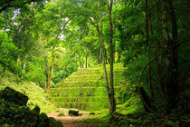 Mystische Mayaruine Yaxchilán in Guatemala inmitten des Dschungels by Mellieha Zacharias
