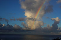 Rainbow von bagojowitsch